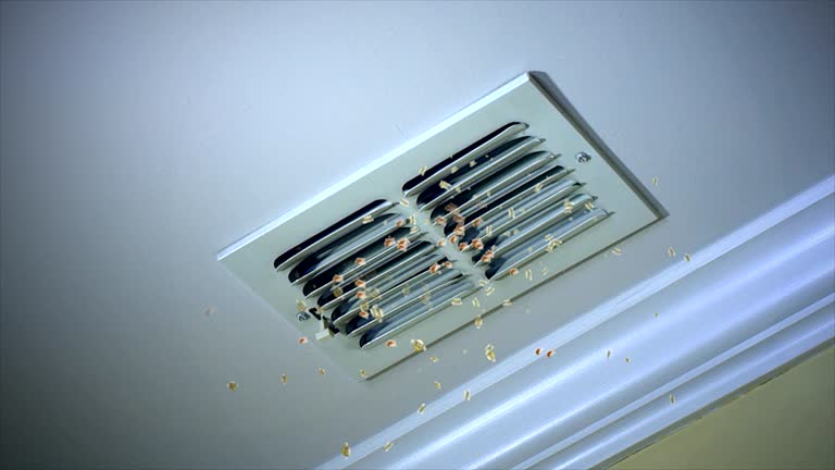 Best Ductwork Cleaning Services  in Pupukea, HI