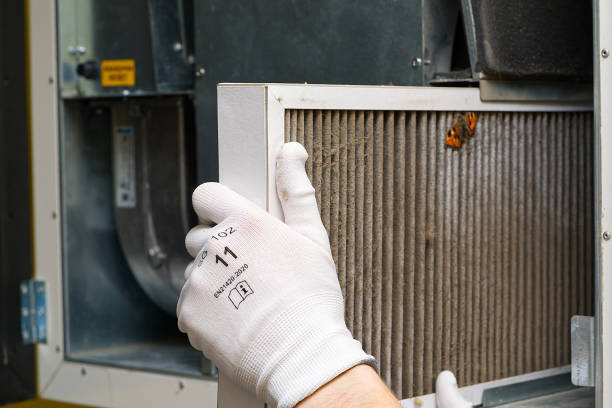 Best Commercial Air Duct Cleaning  in Pupukea, HI