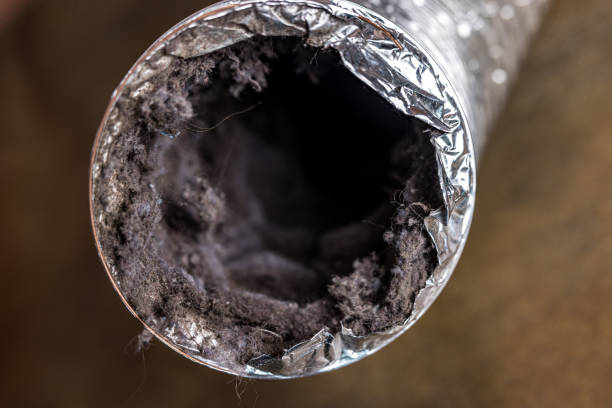 Best Affordable Duct Cleaning Services  in Pupukea, HI