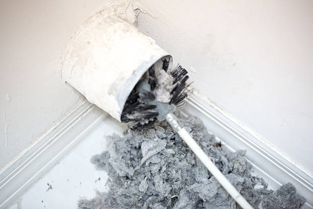 Best Emergency Air Duct Cleaning  in Pupukea, HI